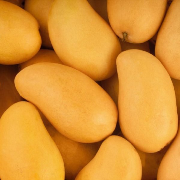 White Chonsa mangoes